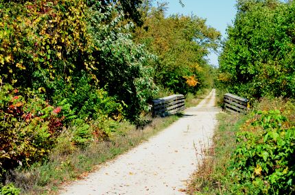 Fall color on badger State trail