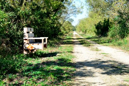 Bench along bike trail