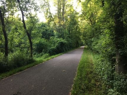 Wooded part of the trail