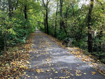 Prairie Trail fall scene, near Algonquin