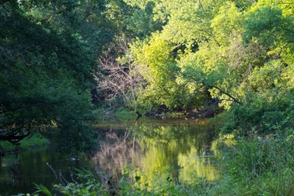 Reflective scenery along the Des Plains River Trail