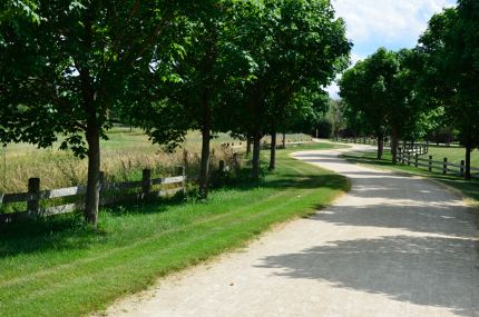 The Winding Des Plains River Trail