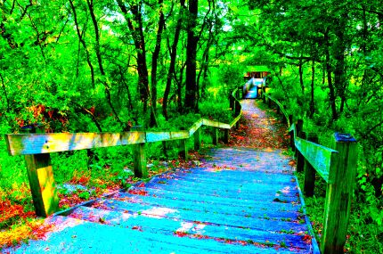 Colorized version of long wooden stairway leading to viewing platform