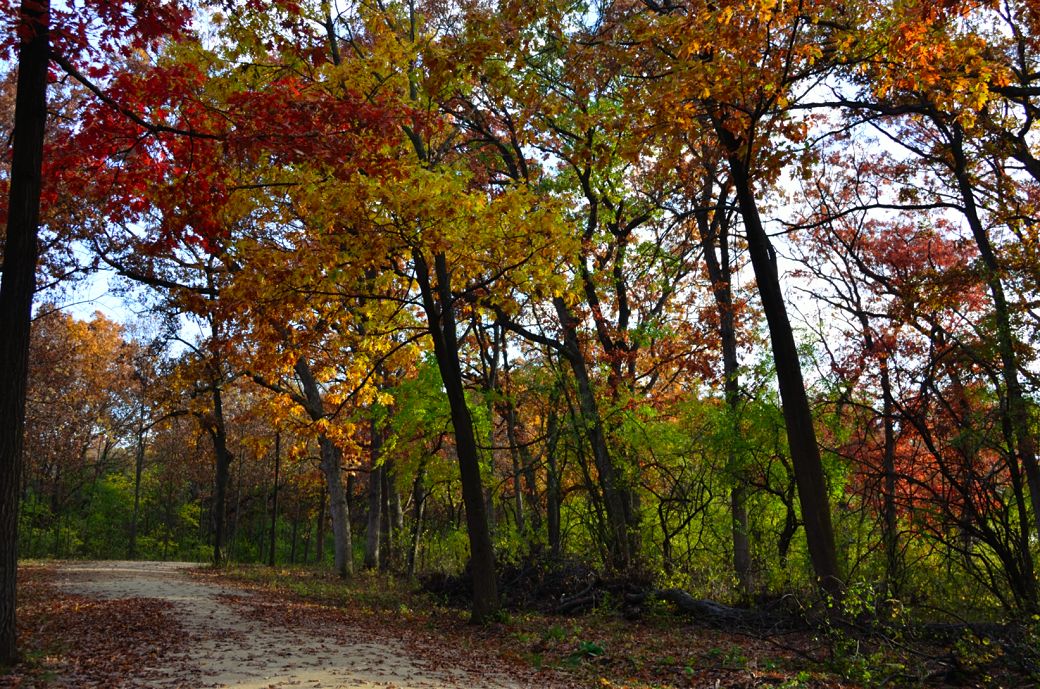 millennium bike trail