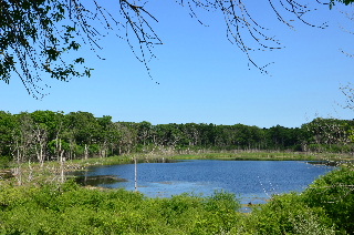 Davis Lake along the Millennium Trail