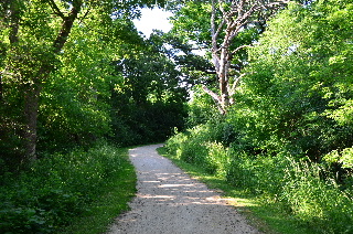 Downhill section on Millennium Bike Path