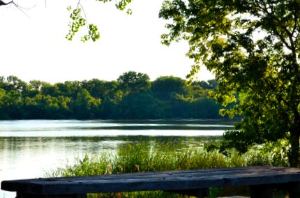 Table top and Skokie Lagoon in early evening