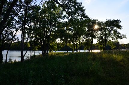 Sun behind trees as seen from NB Trail