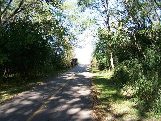 The Busse Woods bike trail black path...