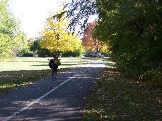 Another bent on the Busse Woods trail