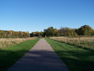 The sun is low now on the Busse Woods trail